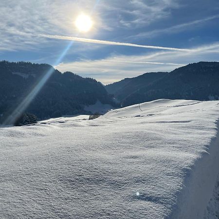 Hotel Garni Oberdorfer Stuben Obermaiselstein Eksteriør billede