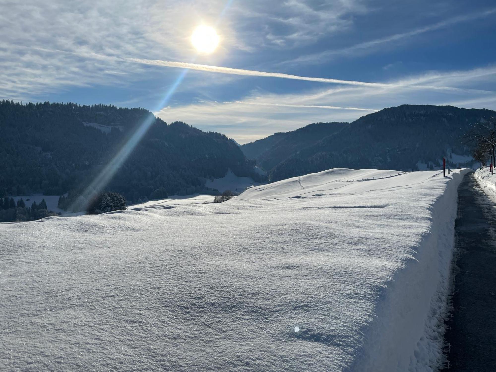 Hotel Garni Oberdorfer Stuben Obermaiselstein Eksteriør billede