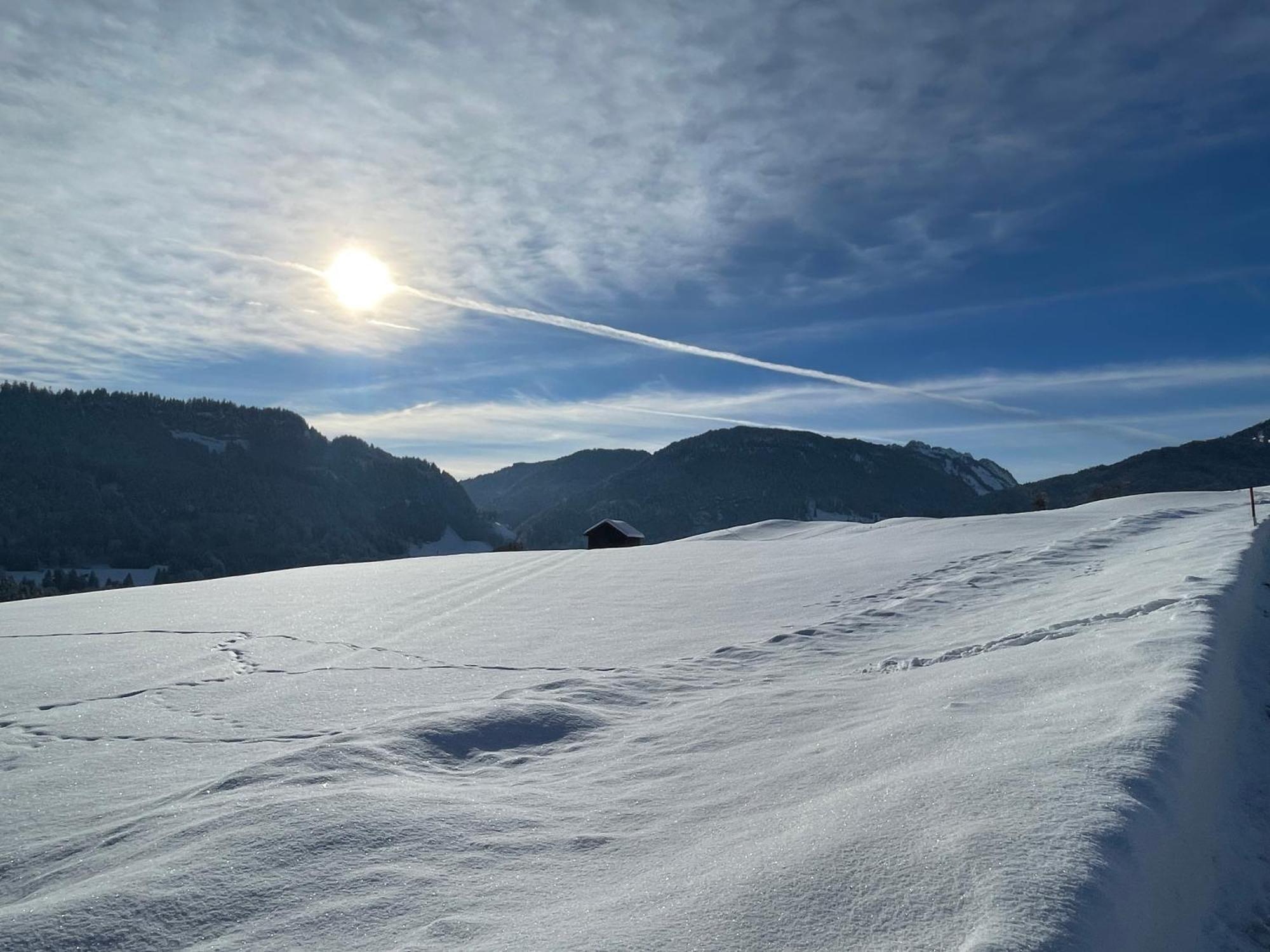 Hotel Garni Oberdorfer Stuben Obermaiselstein Eksteriør billede