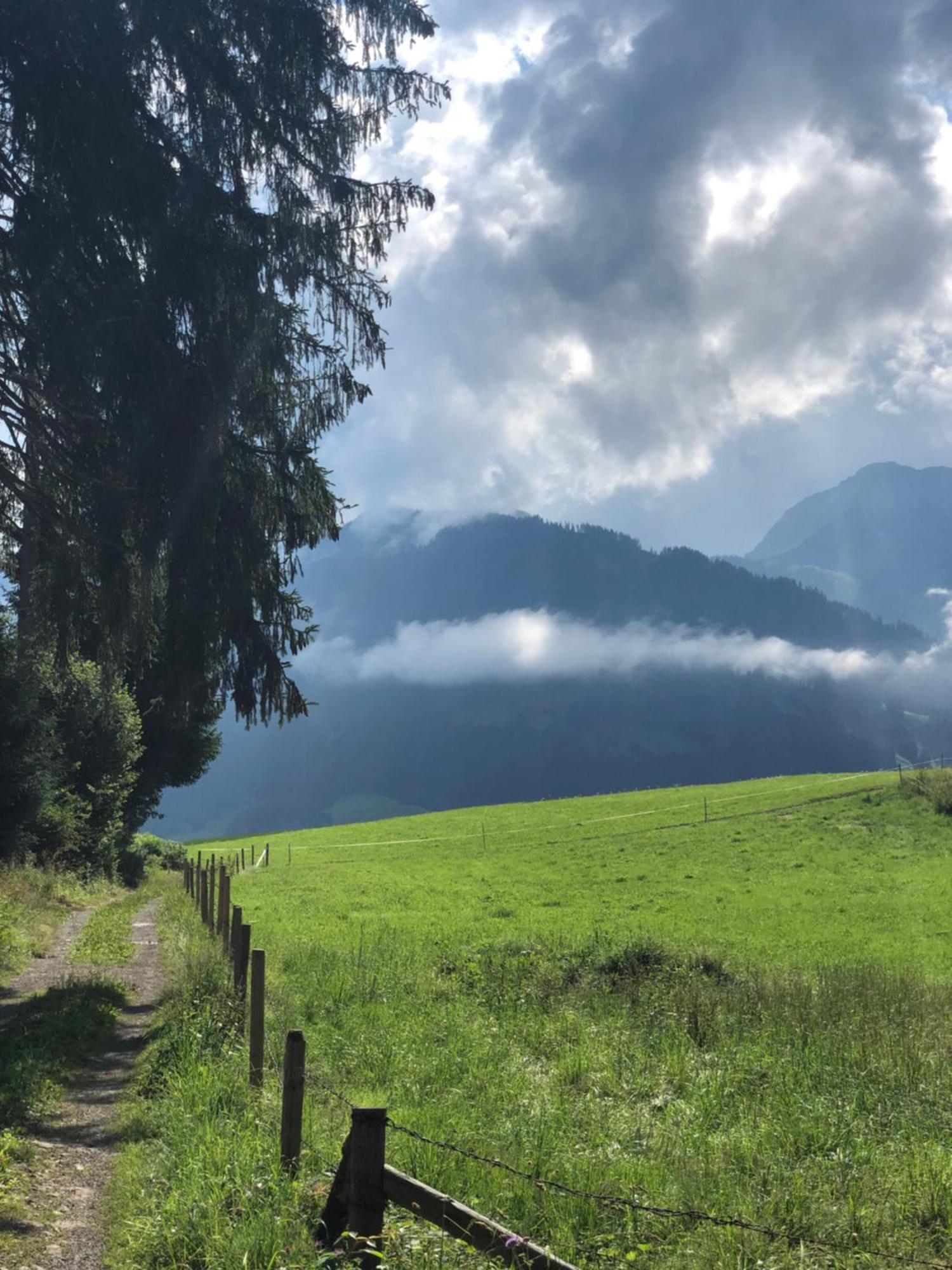 Hotel Garni Oberdorfer Stuben Obermaiselstein Eksteriør billede