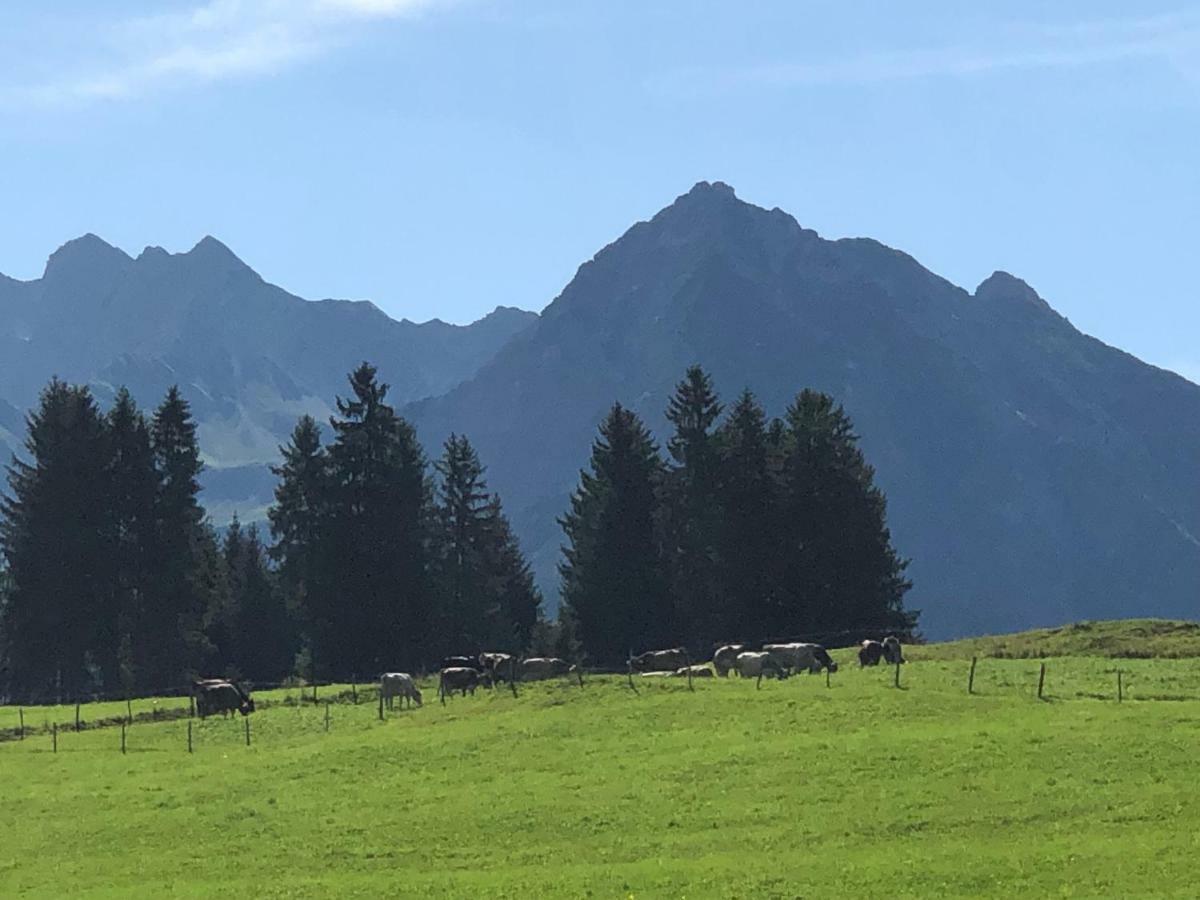 Hotel Garni Oberdorfer Stuben Obermaiselstein Eksteriør billede